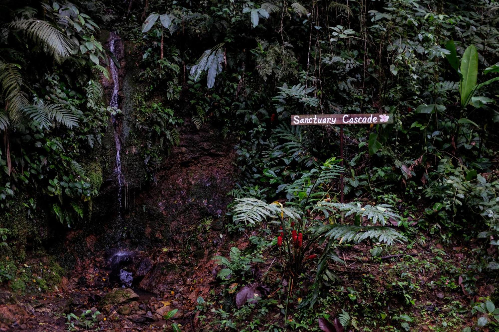 Essence Arenal Spa & Yoga El Castillo Luaran gambar