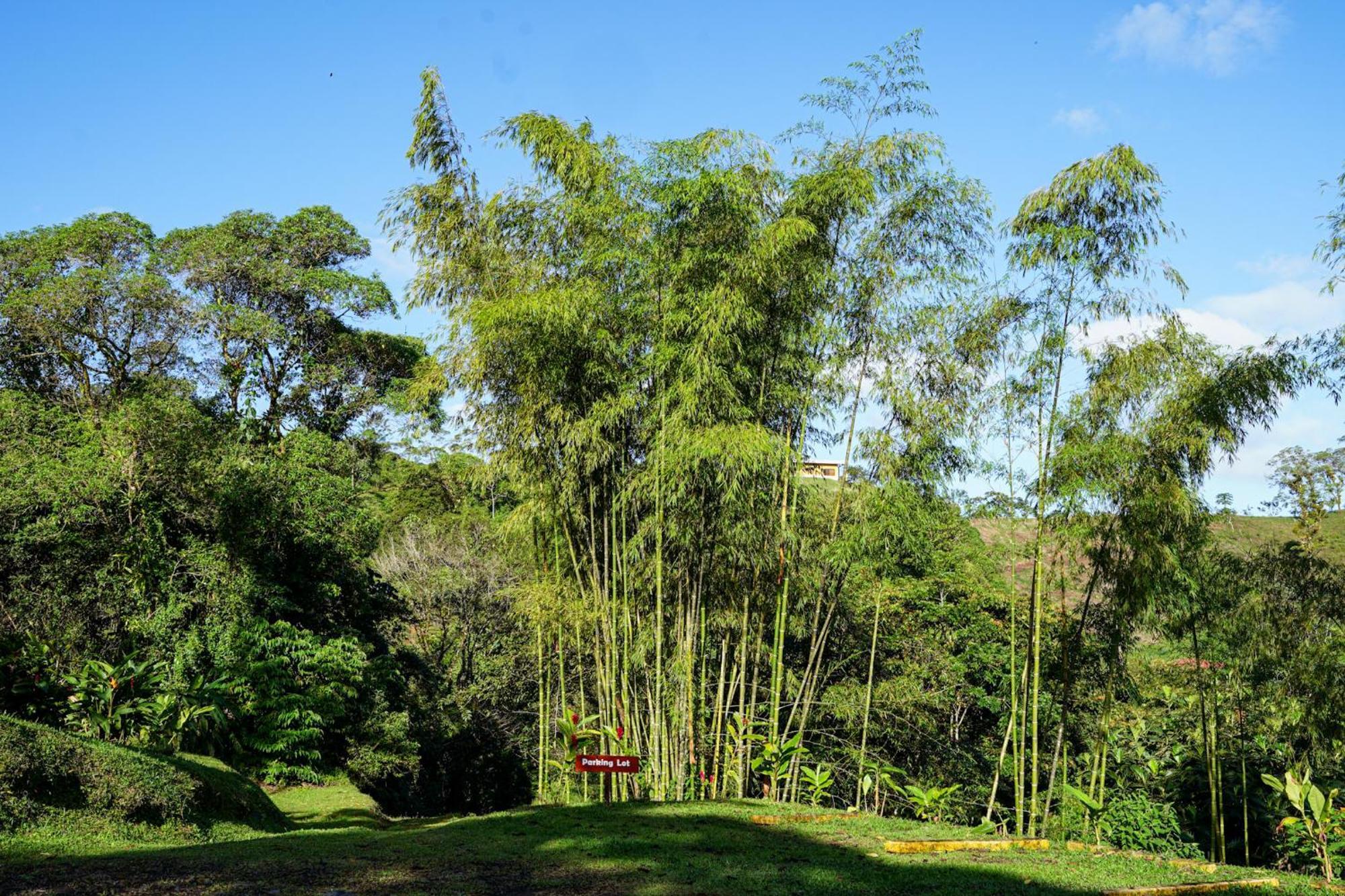 Essence Arenal Spa & Yoga El Castillo Luaran gambar